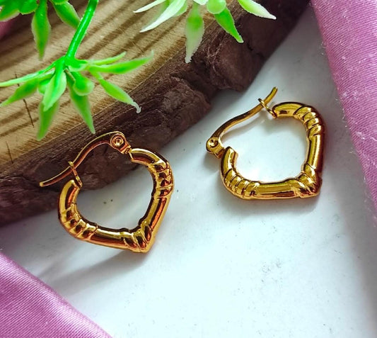 Celebrity Anti Tarnish Earrings